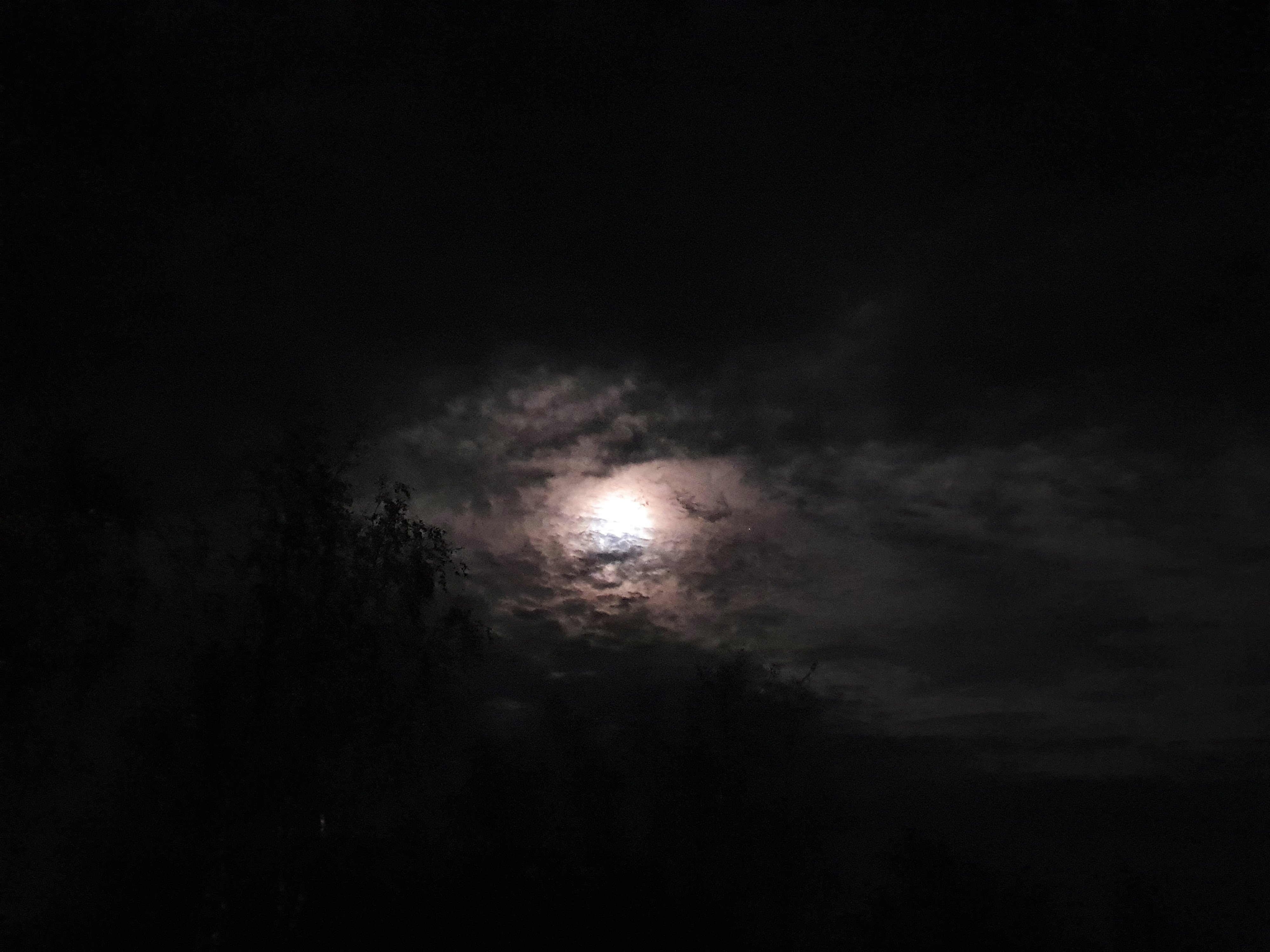 1602059025923.png
