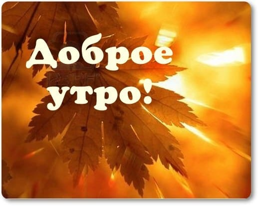 1602392313280.png