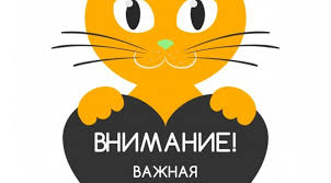 1602421577014.png