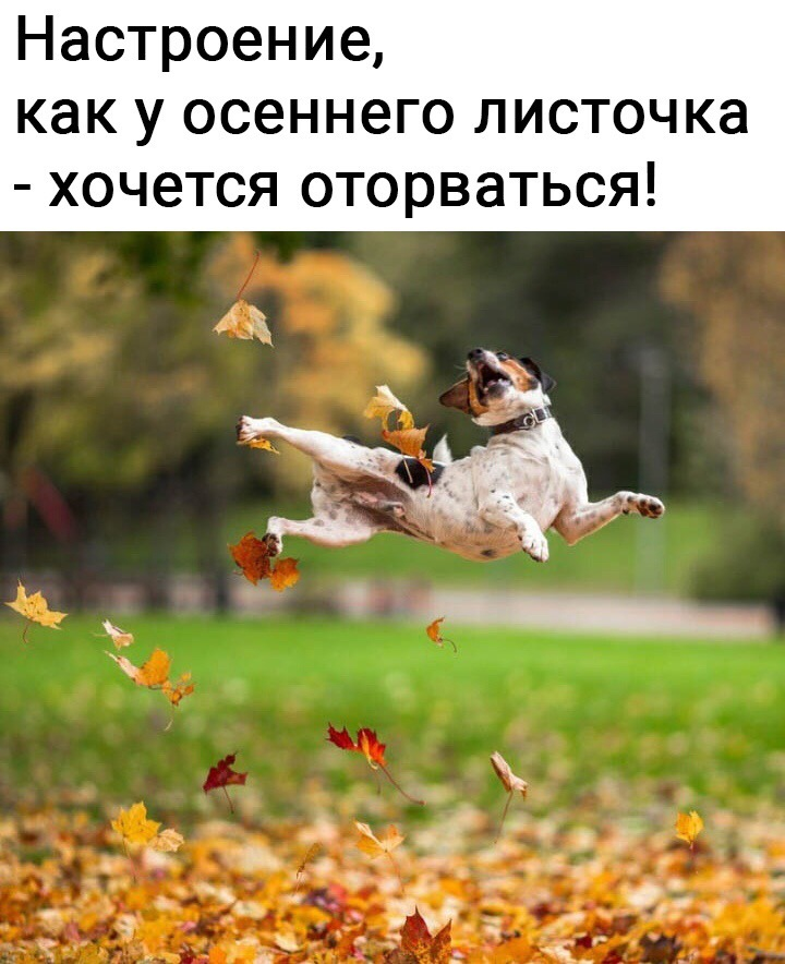1602483439564.png