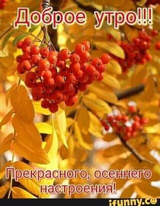 1602826551355.png