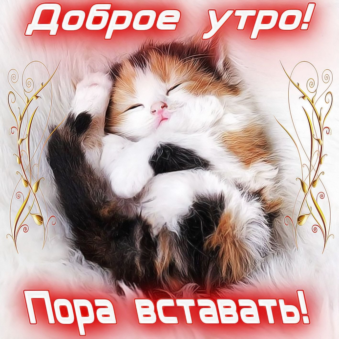 1603164646272.png