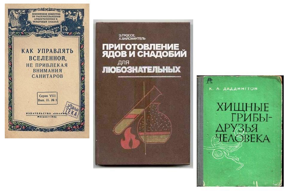 1603171958475.png