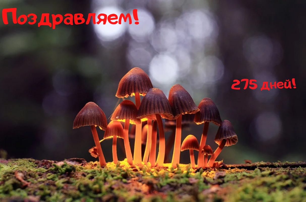 1603359860680.png