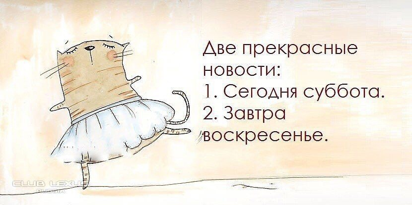 1603520025247.png