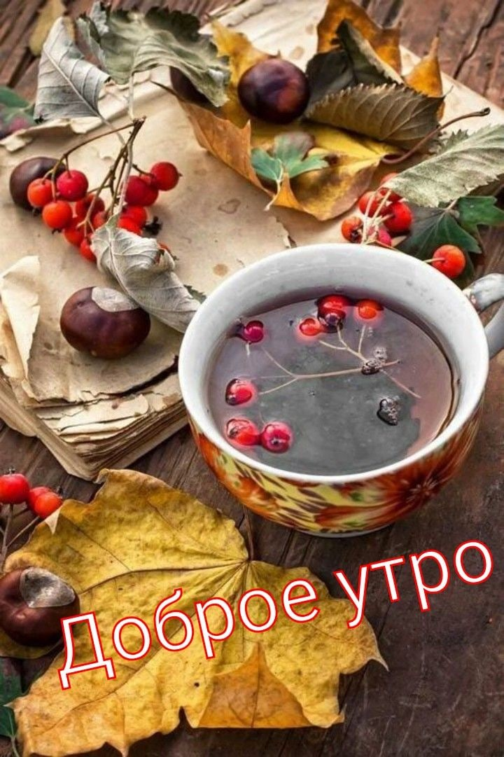 1604027717945.png