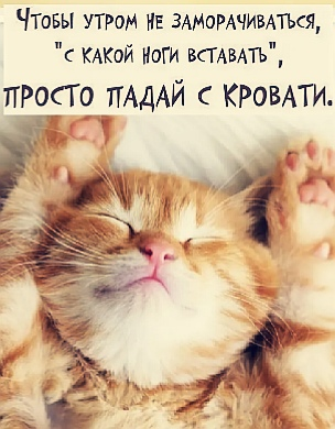 1604027953633.png
