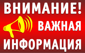 1604292662731.png