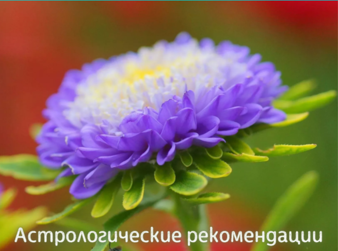 1604555169307.png