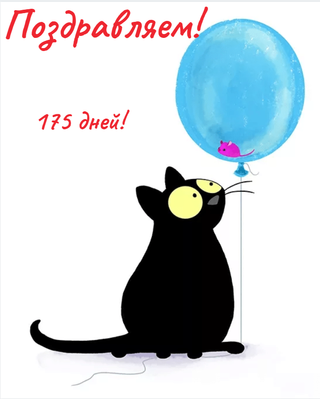 1604555650595.png