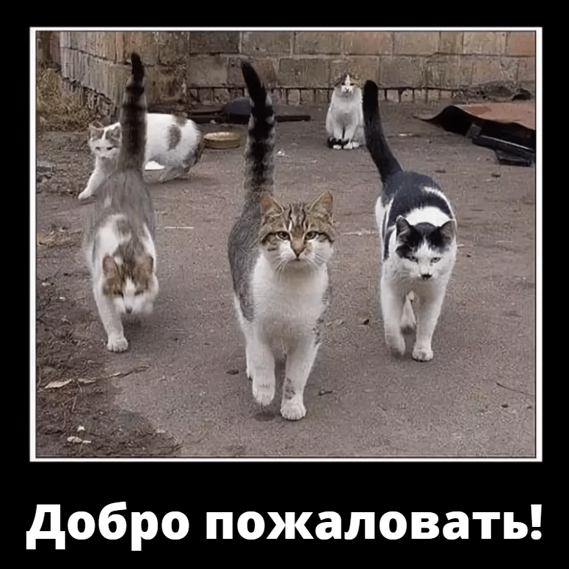 1604646947770.png