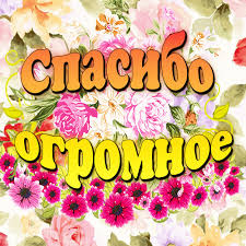 1604735873679.png
