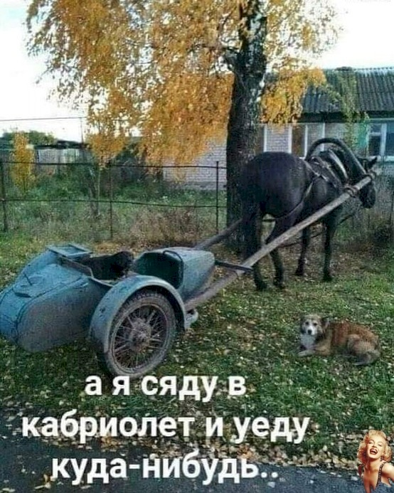 1606147446358.png