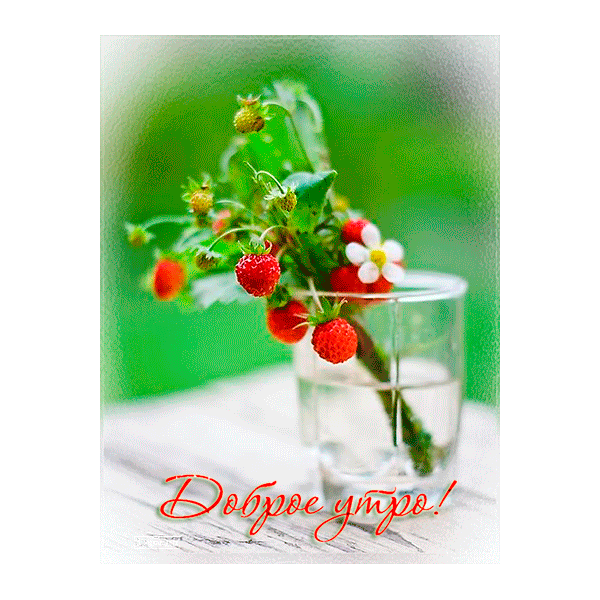 16070406022190d4125566a7a4c1565ec48dd82e4035 (1).gif