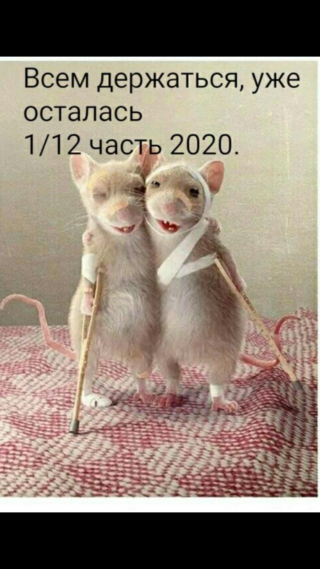 1607591825276.png