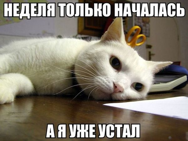 1617600835583.png