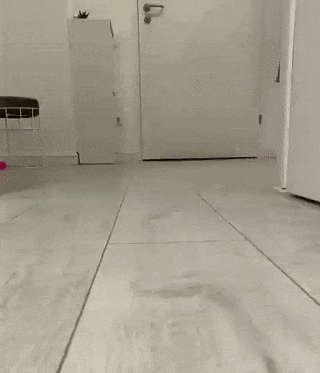 1617712892123484980.gif