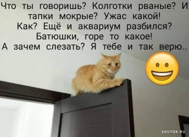1623878068_shutok.ru.01.webp