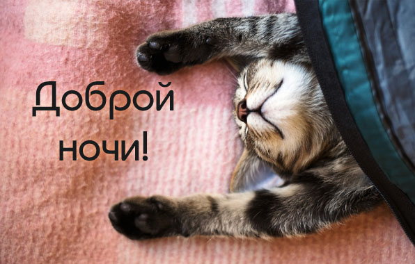 1625509270946.png