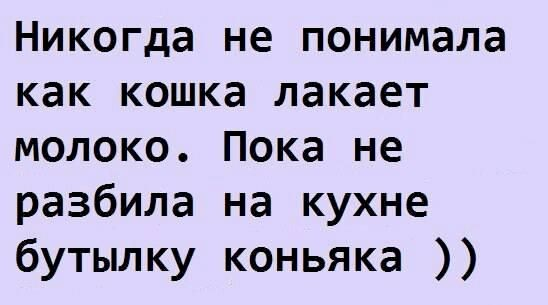 1625896918642.png