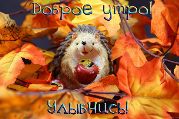1632887791398.png