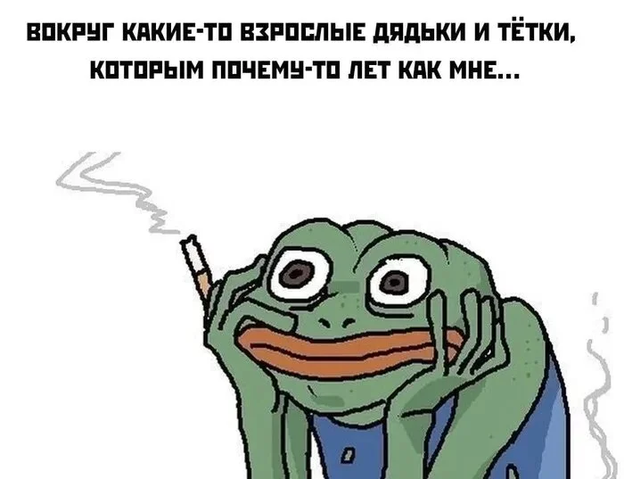 163421342514662670 (1).webp