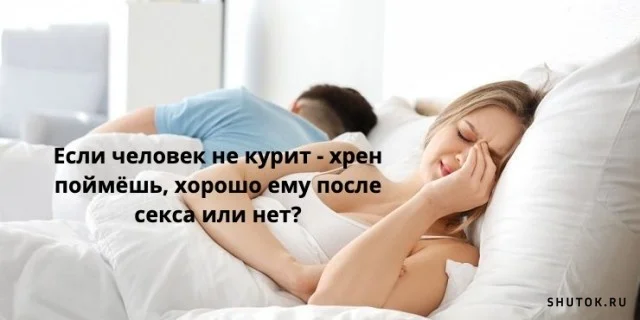 1634318463_shutok.ru.16039640.webp