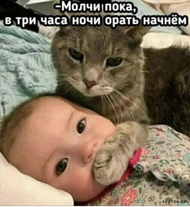 1634403217_shutok.ru.16041914.jpg