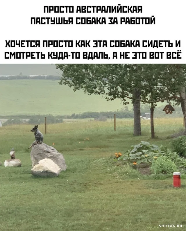 1635355135_shutok.ru.16076899.webp