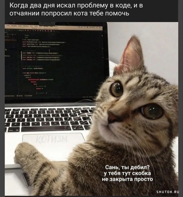 1635363349_shutok.ru.16077398.jpg