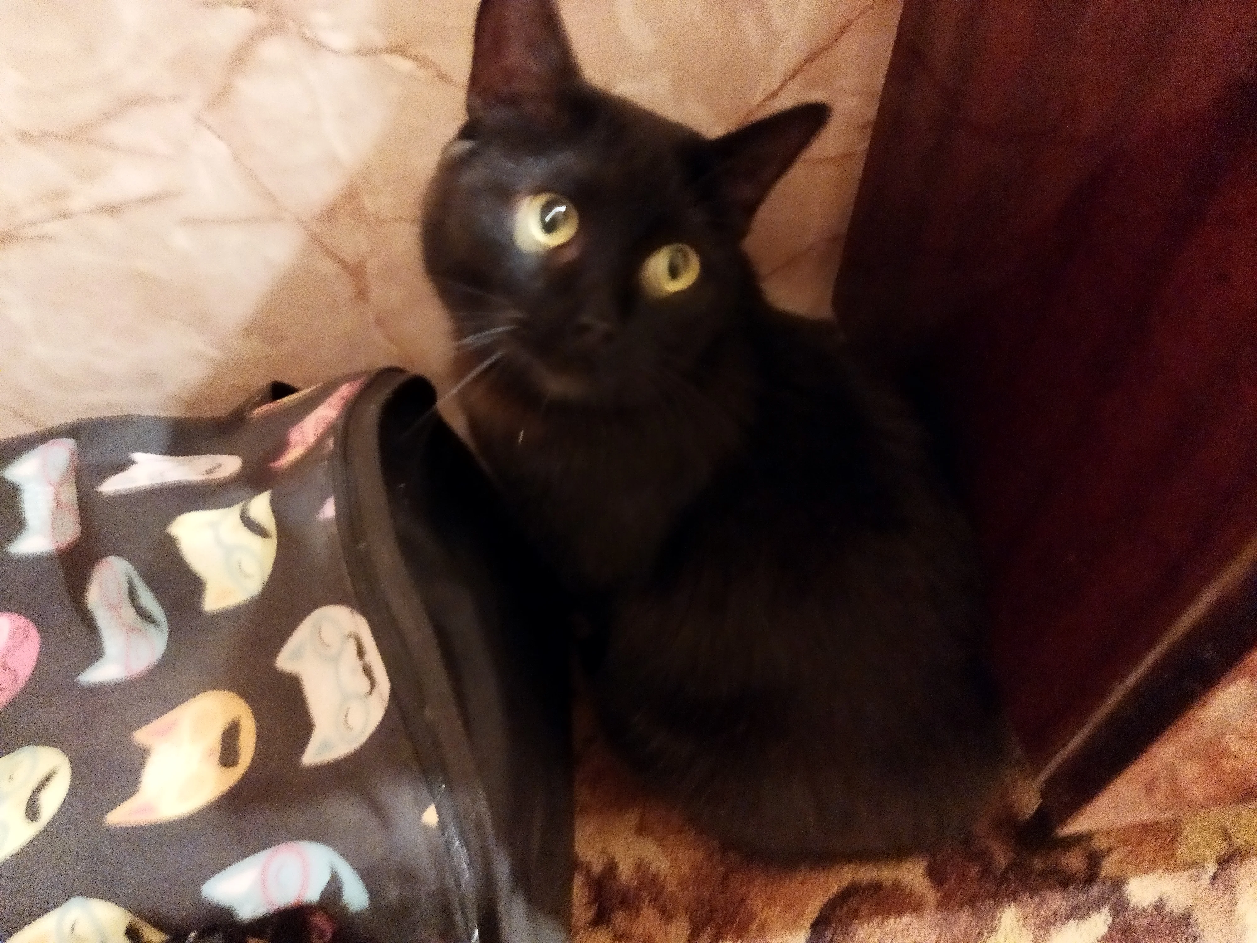 1636212112207 (1).webp