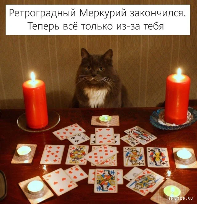 1637858673_shutok.ru.16168934.webp