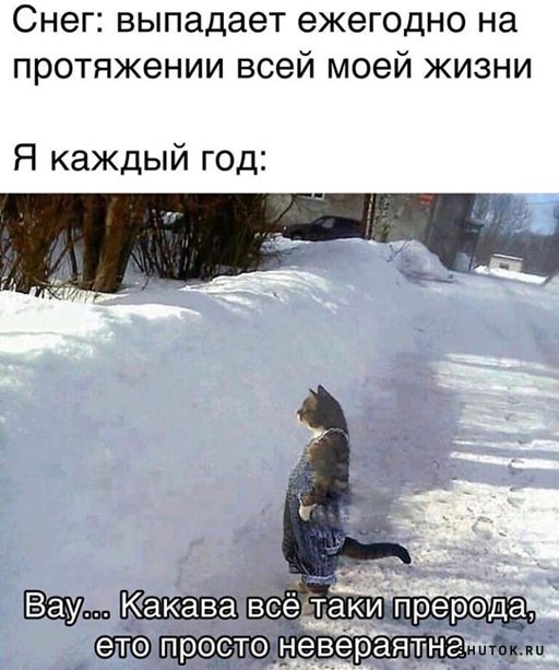 1640285508_shutok.ru.16270135.jpg