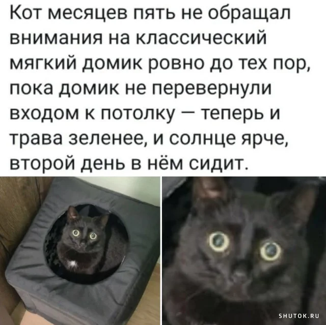1642879385_shutok.ru.16358523.webp