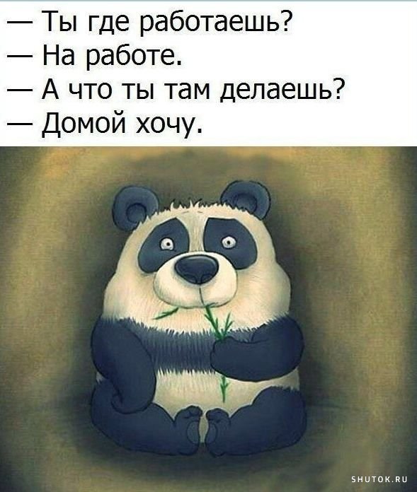 1645901141_shutok.ru.16491387.jpg