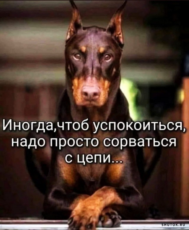1645901151_shutok.ru.16486001.jpg