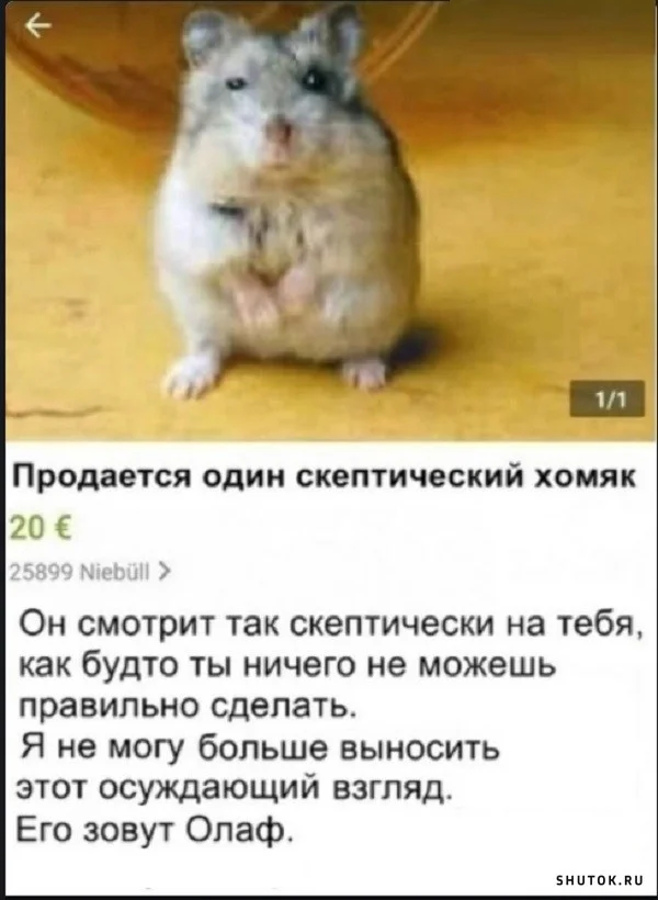 1646331760_shutok.ru.16506845.webp