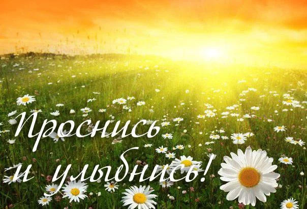1647-otkritki-Otkritki-i-kartinki-Dobroe-utro.webp