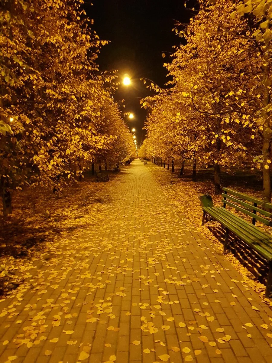 1648943260_18-vsegda-pomnim-com-p-osennii-park-vecherom-foto-18.webp