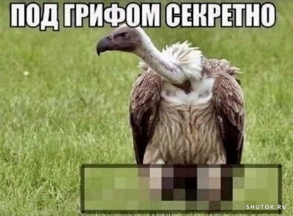 1649704365_shutok.ru.16647617.jpg