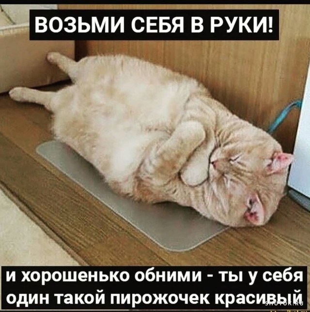 1649878044_shutok.ru.16654699.jpg