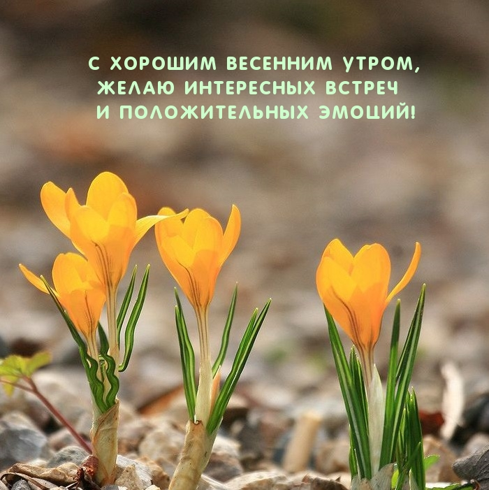 1649905398155.png