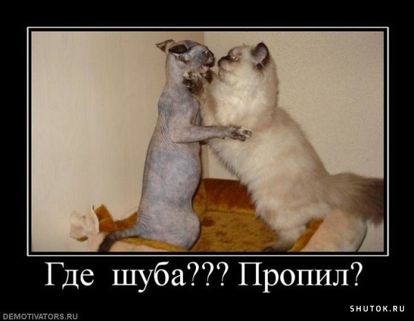 1649941450_shutok.ru.50.jpg