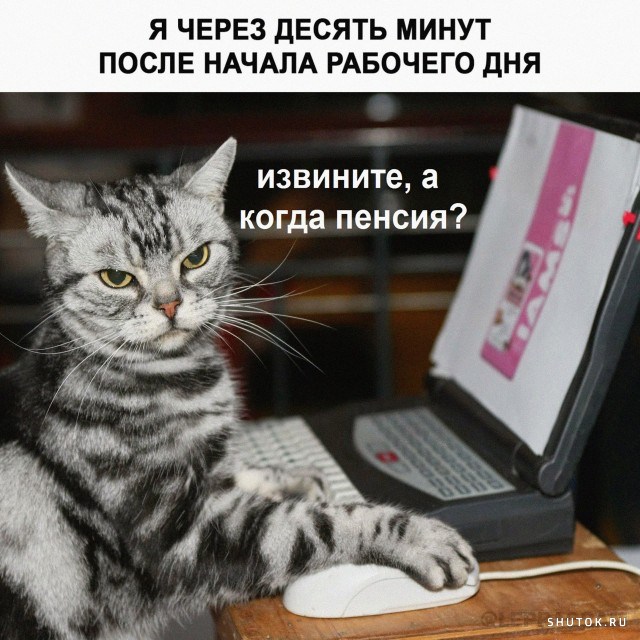 1649963219_shutok.ru.16656966.jpg