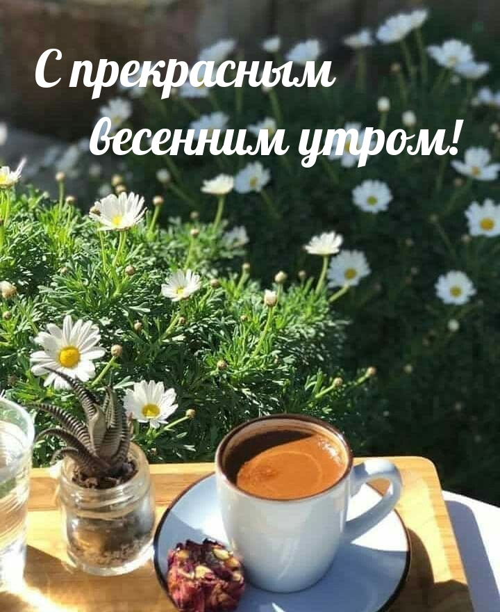1649992280611.png