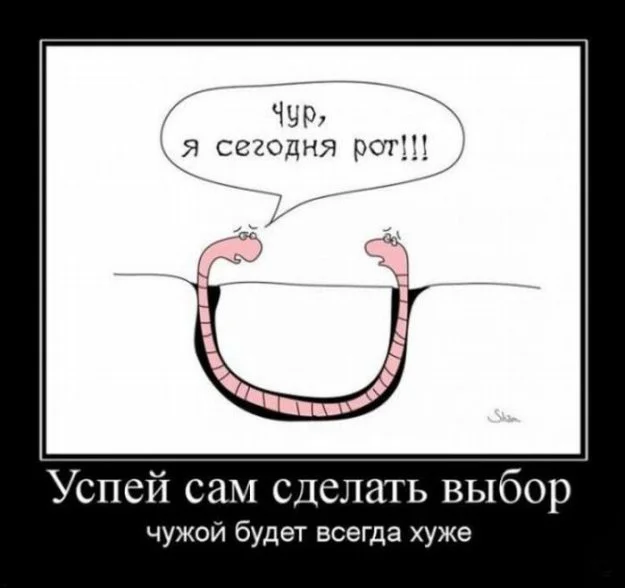 165158_311912.webp