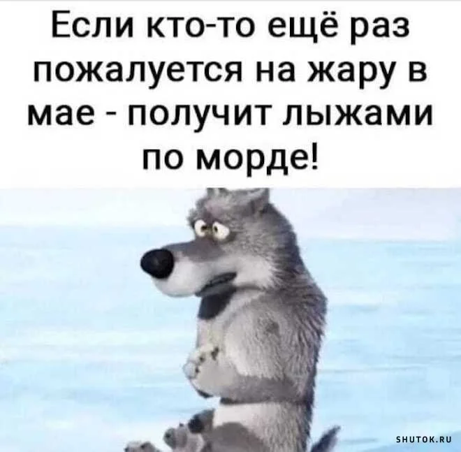 1652635369_shutok.ru.15.webp