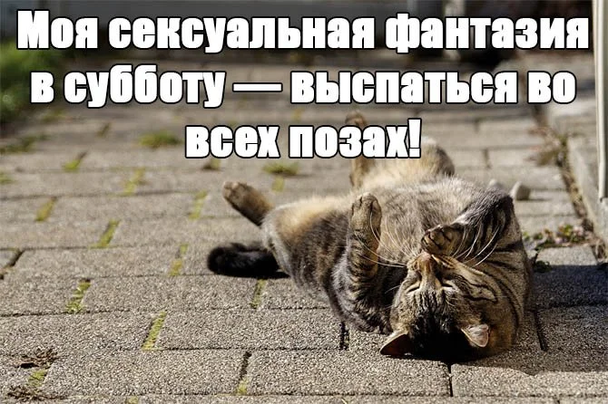 1652636027_1-kartinkof-club-p-nastroenie-subbota-kartinki-prikolnie-1.webp