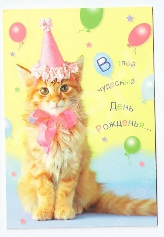 1653698252_19-papik-pro-p-s-dnem-rozhdeniya-risunok-s-kotom-19.webp