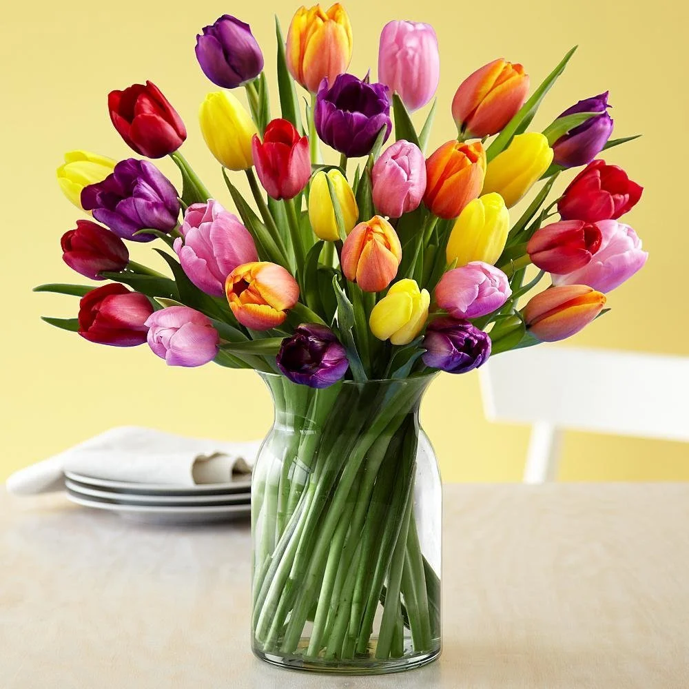 1656084478_2-mykaleidoscope-ru-p-buket-raznotsvetnikh-tyulpanov-krasivo-fot-2.webp
